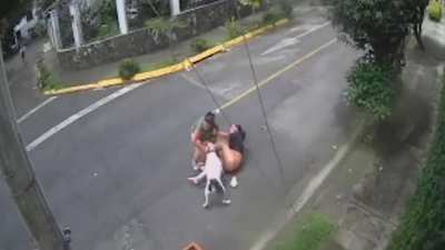 Man chokes out a Pitbull to save a woman