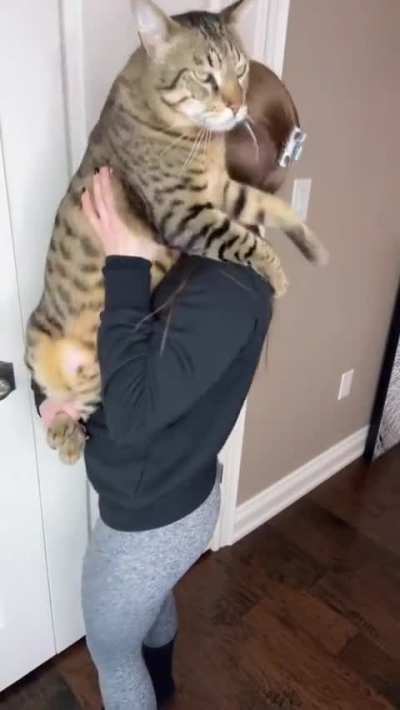 He is big