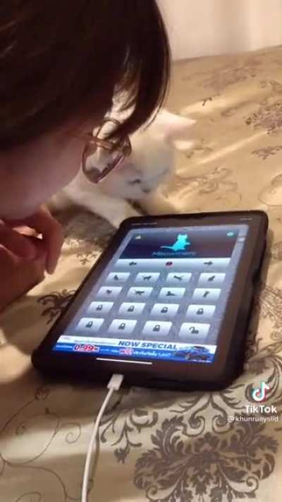 Now I can talk to my cat