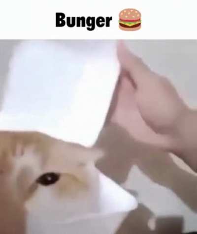hambunger rule