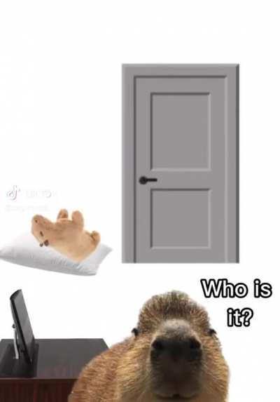 OOGA BOOGA