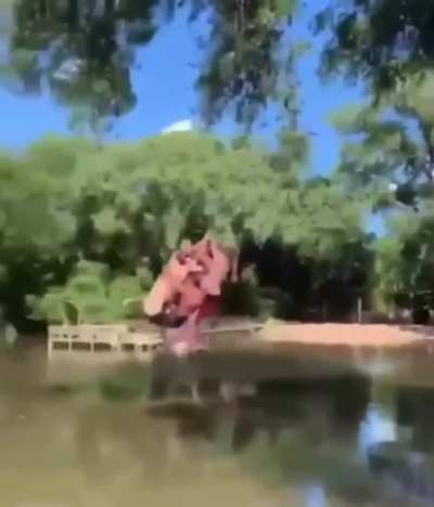 Tarzan