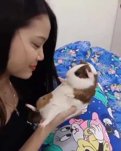 Целов<wbr>ашки