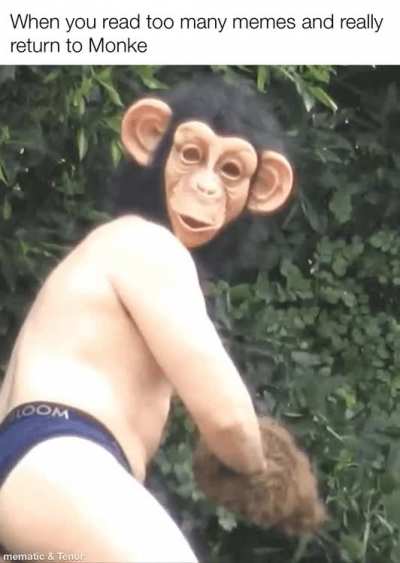 Return to Monke