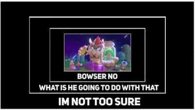 bowser