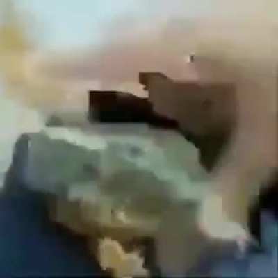 froge