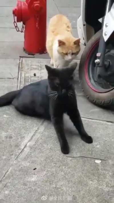 Got caught.
