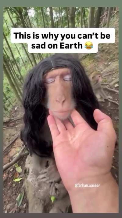.....
