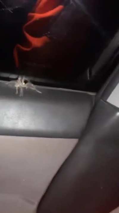 Back off m8