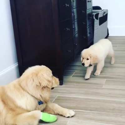 The most unsuccessful sneak attack of all time.