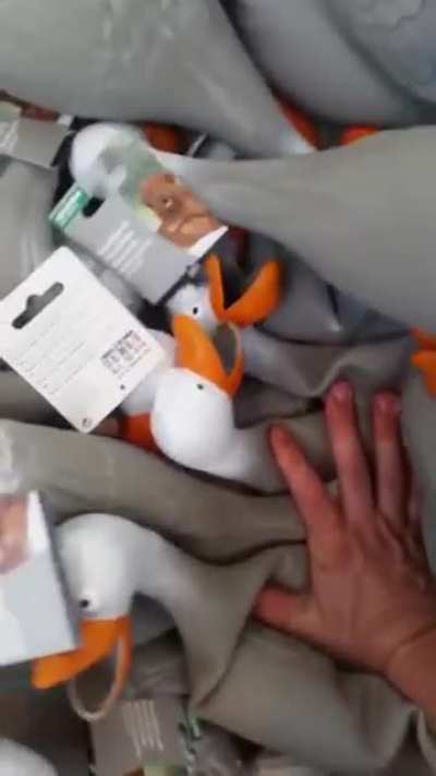 Duck army