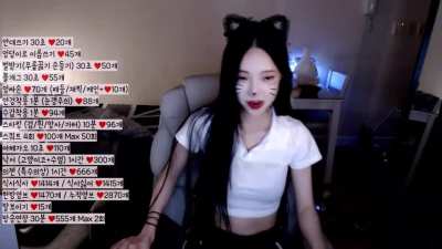 시혈 (emolucy)