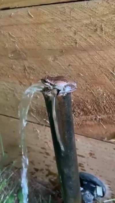 This little dude great entrance