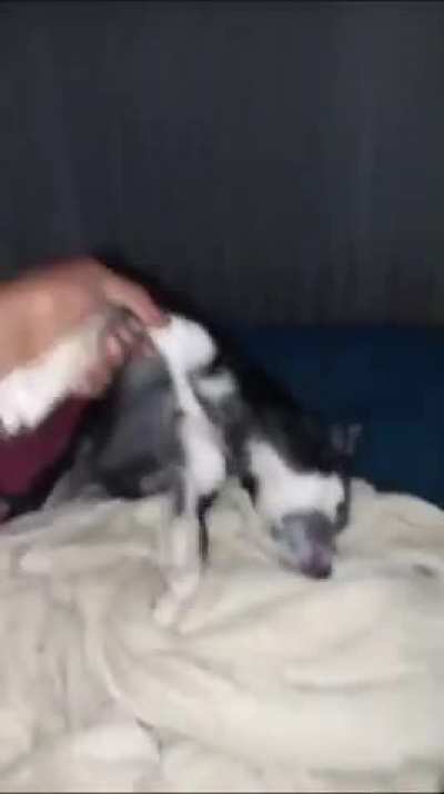 É o goza e dorme não tem jeito 