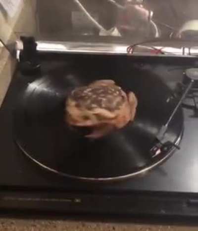 froog