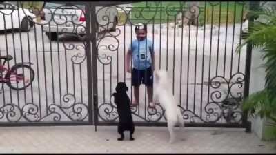 These cuties dancing together!