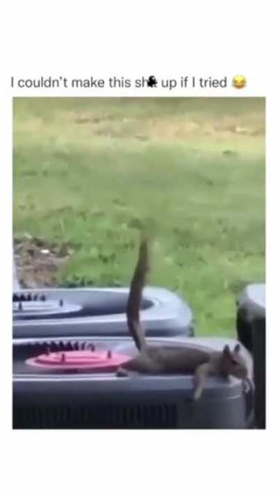 bomb