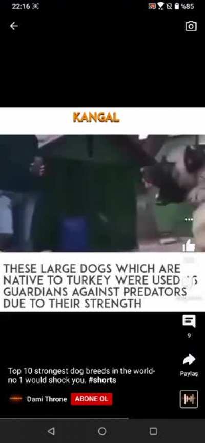 I saw this in youtube. Credits: in the video(left bottom corner)