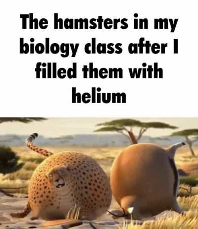 It was just an experiment..
