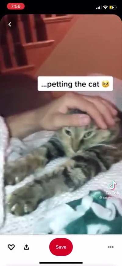 Dude falls asleep instead of cat sleeping on human.