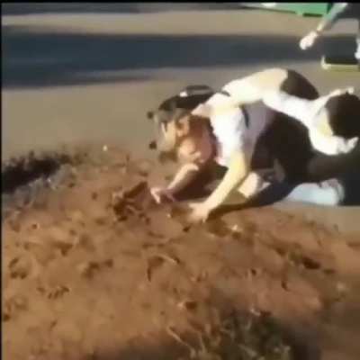 Skinny Girl slam chubby girl in a fight
