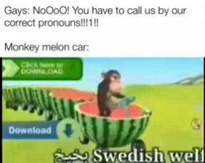 🗿