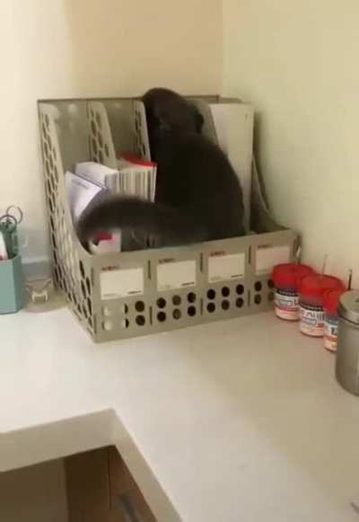Filing Clerk