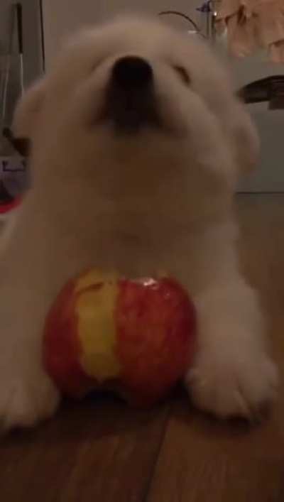 Little cloud eating an apple