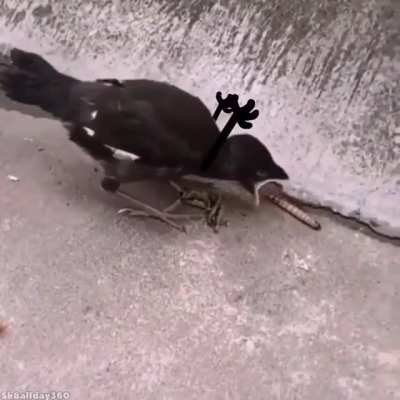 AAAHHH