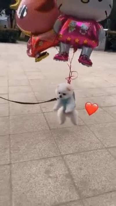 Lift off in 3...2...1