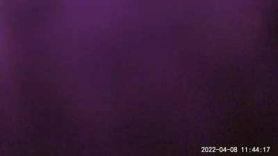 our rabbit got out today. he had to hide the evidence by disabling the webcam