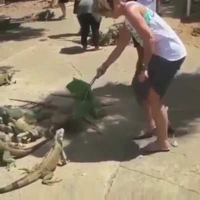 Stabbed from behind