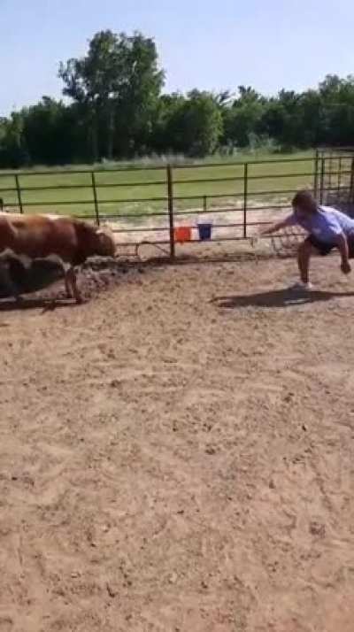 Bull IQ: 3000