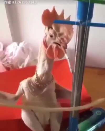 He’s so talented!
