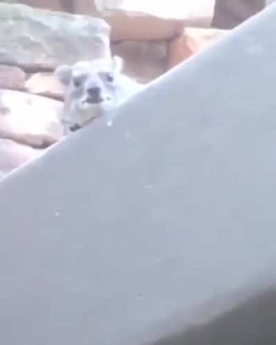 Hi!