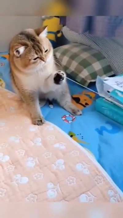Maybe maybe maybe