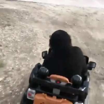 Limbani got some nice wheels not gonna lie