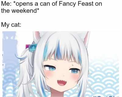 Kitty be excited