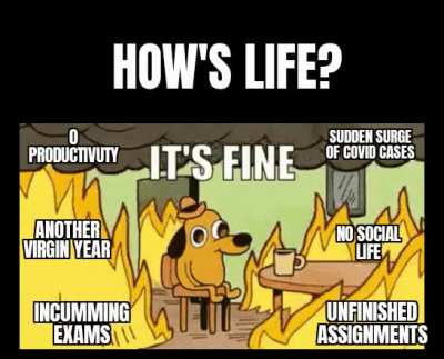 We'll be fine homies