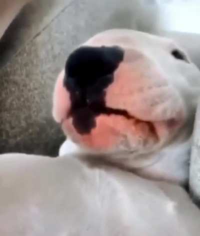 waking up from a nap and remembering that thing you forgot