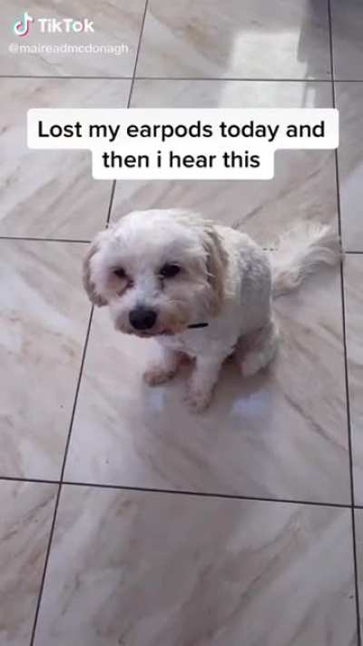 subwoofer