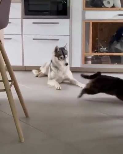 I Just Wаntеd То Таkе А Nар. . .