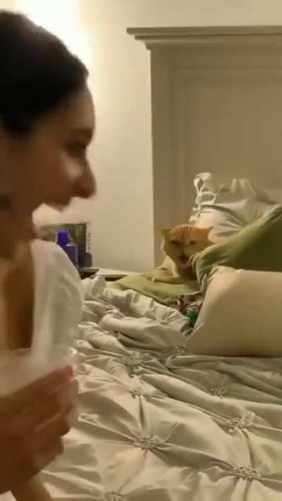 How many times I've told you, don't wrinkle my bed.