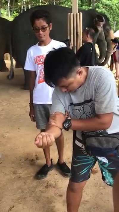 Magic trick
