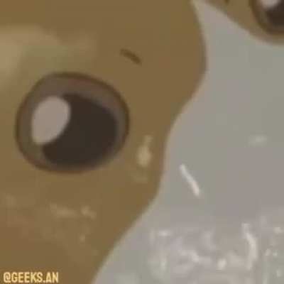 Dog bad