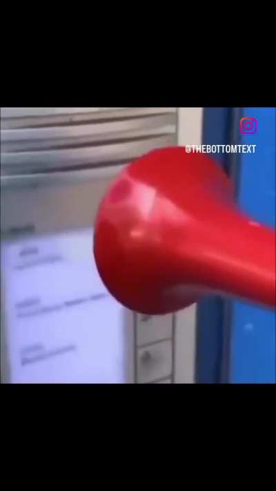 honk