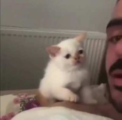 He not like