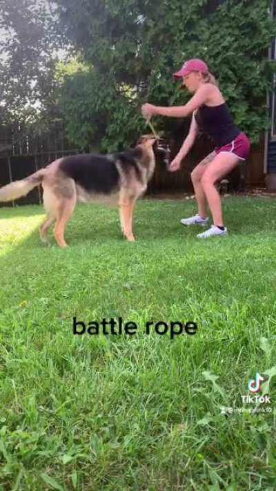 working out with mans best friend
