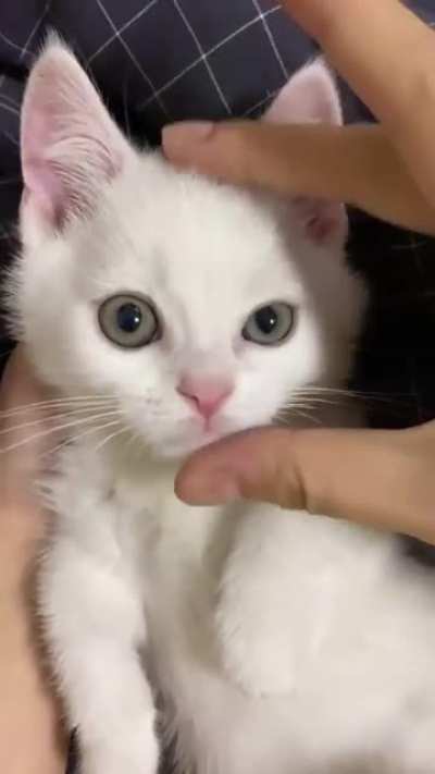 from cute to grumpy