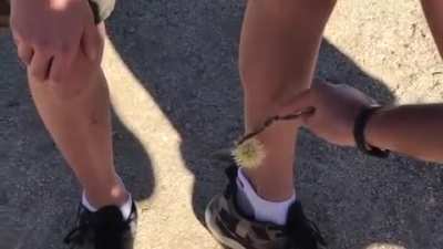 OC: Minor injury warning